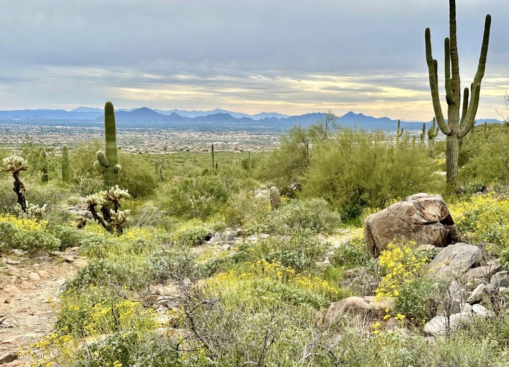 View of the Phoenix Valley from the Gateway Trail of the McDowell Sonoran Preserve.