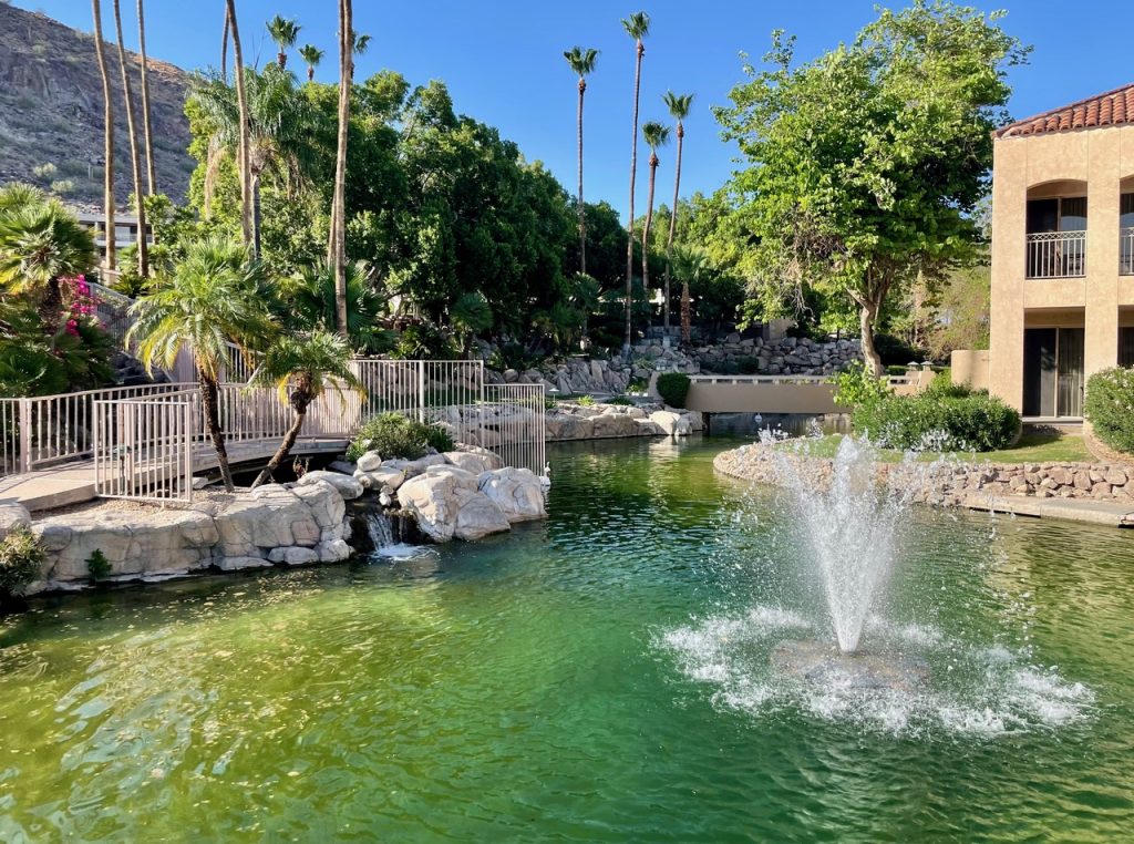 Lush grounds of The Phoenician