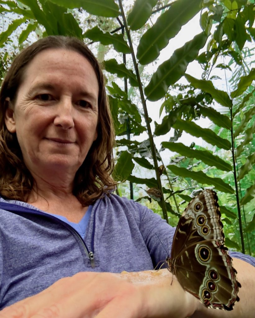 Feeding butterflies in Costa Rica