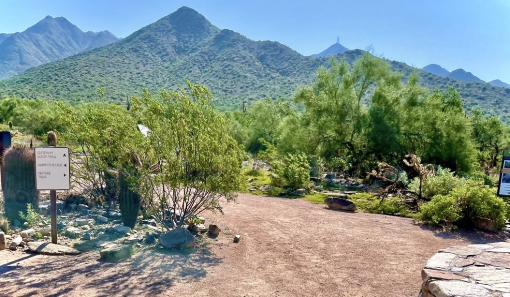 One of the nature activities of Scottsdale, walking the Bajada Trail.