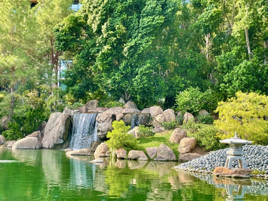 The serene nature of the Japanese Friendship Garden