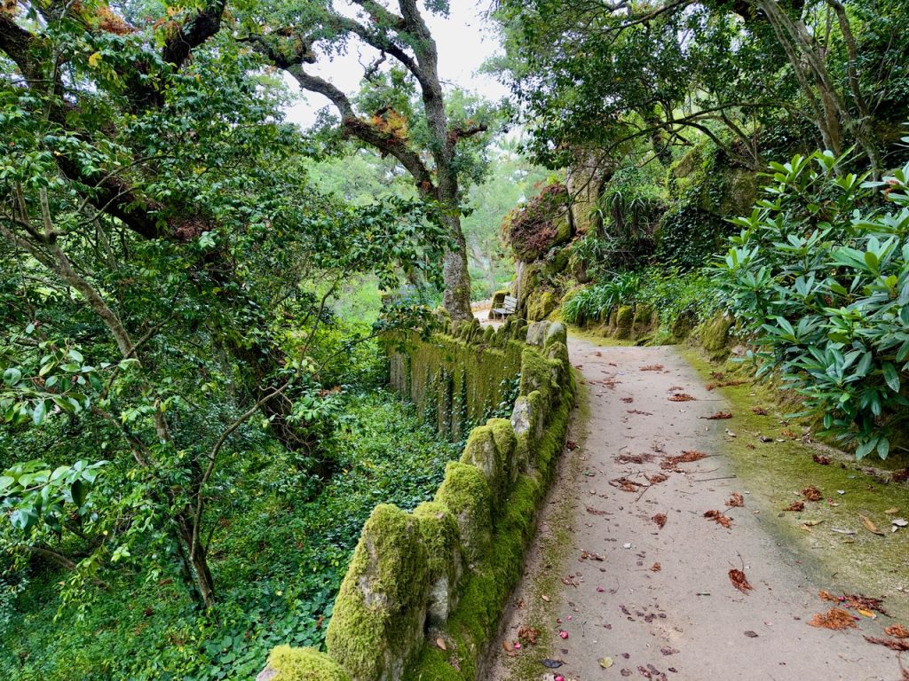 Monserrate garden in Sintra