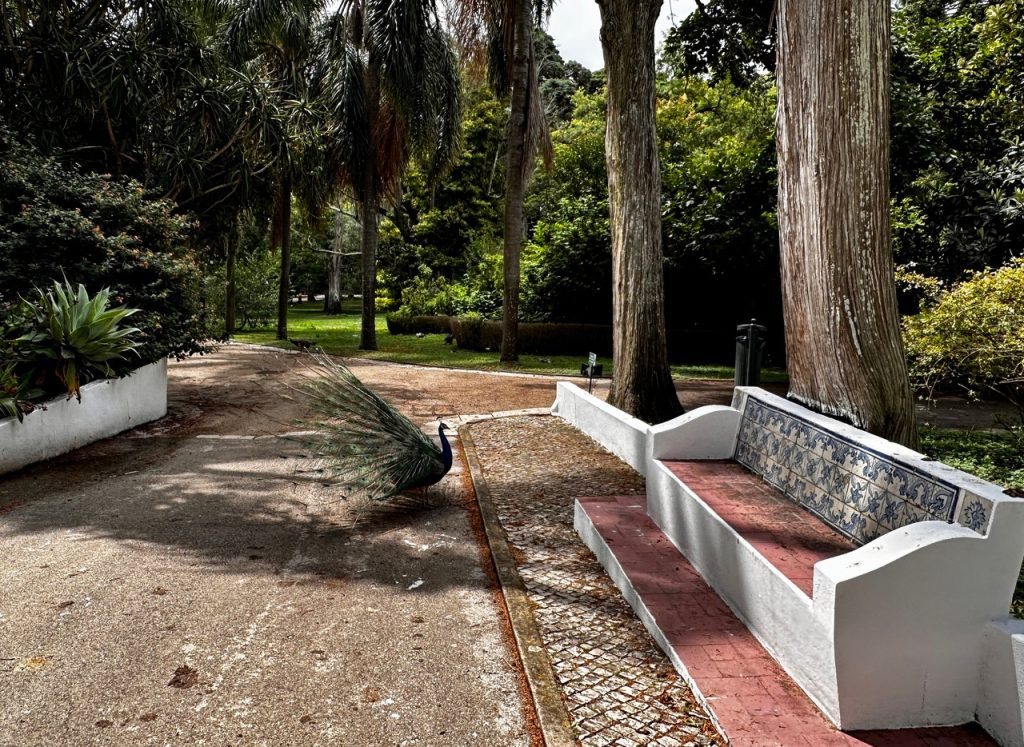 Tropical Botanical Garden