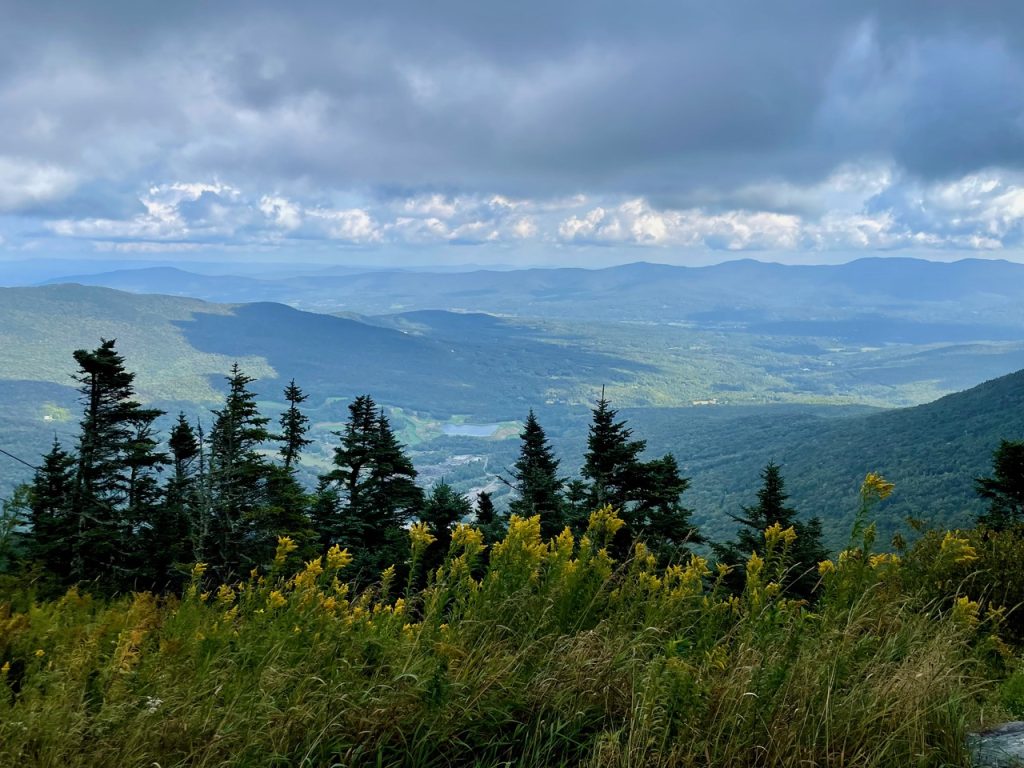 View from Gondola Ride