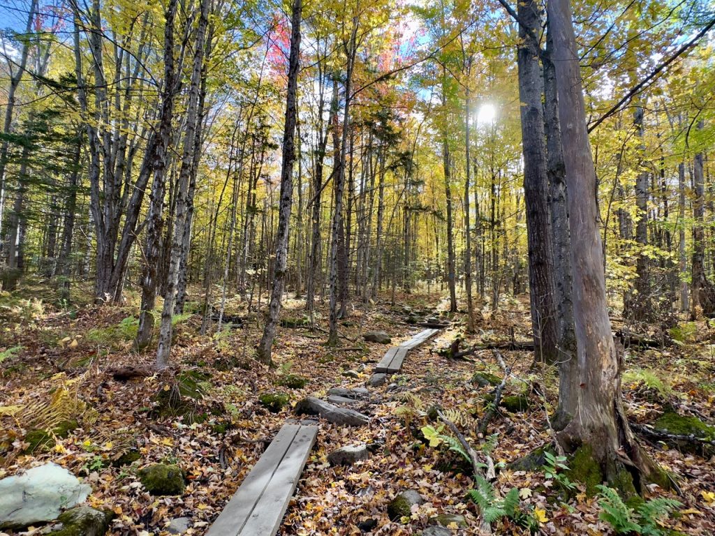 Stowe Pinnacle Trail