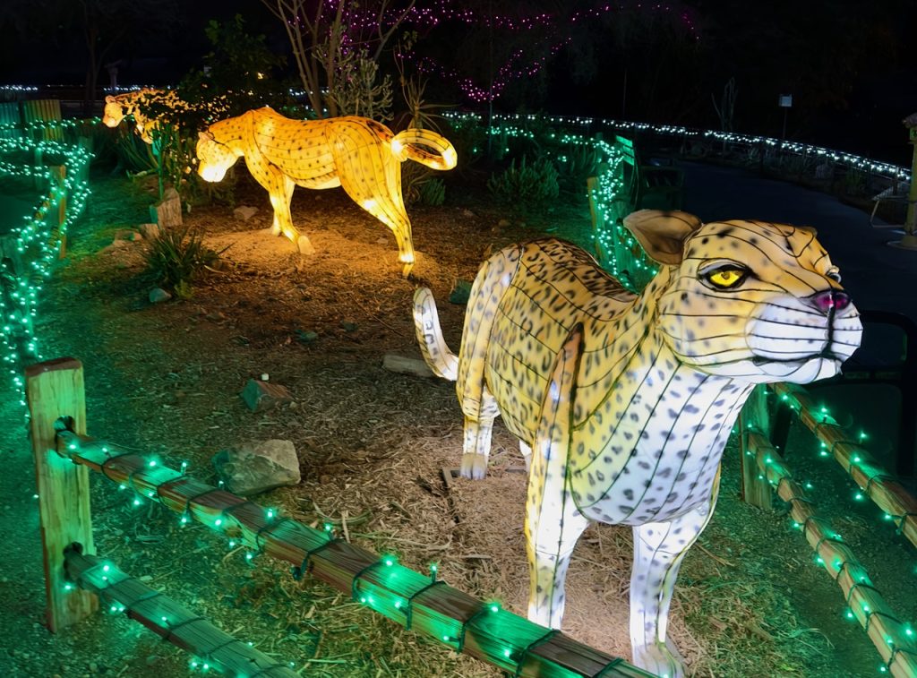 Zoo Lights, one of the best winter holidays in Scottsdale