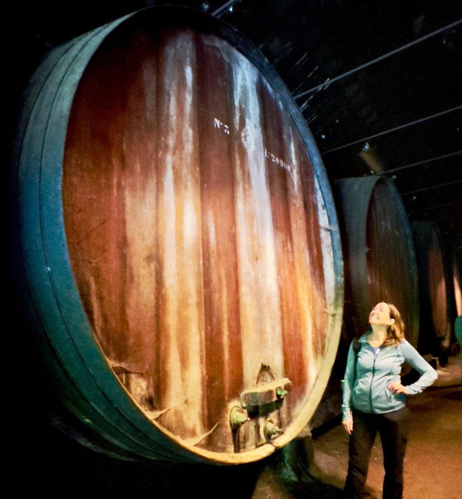 Wine tasting small group tour in Portugal