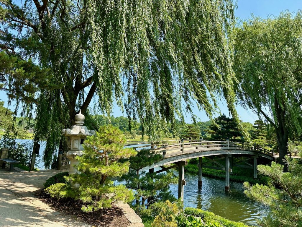 Japanese Garden