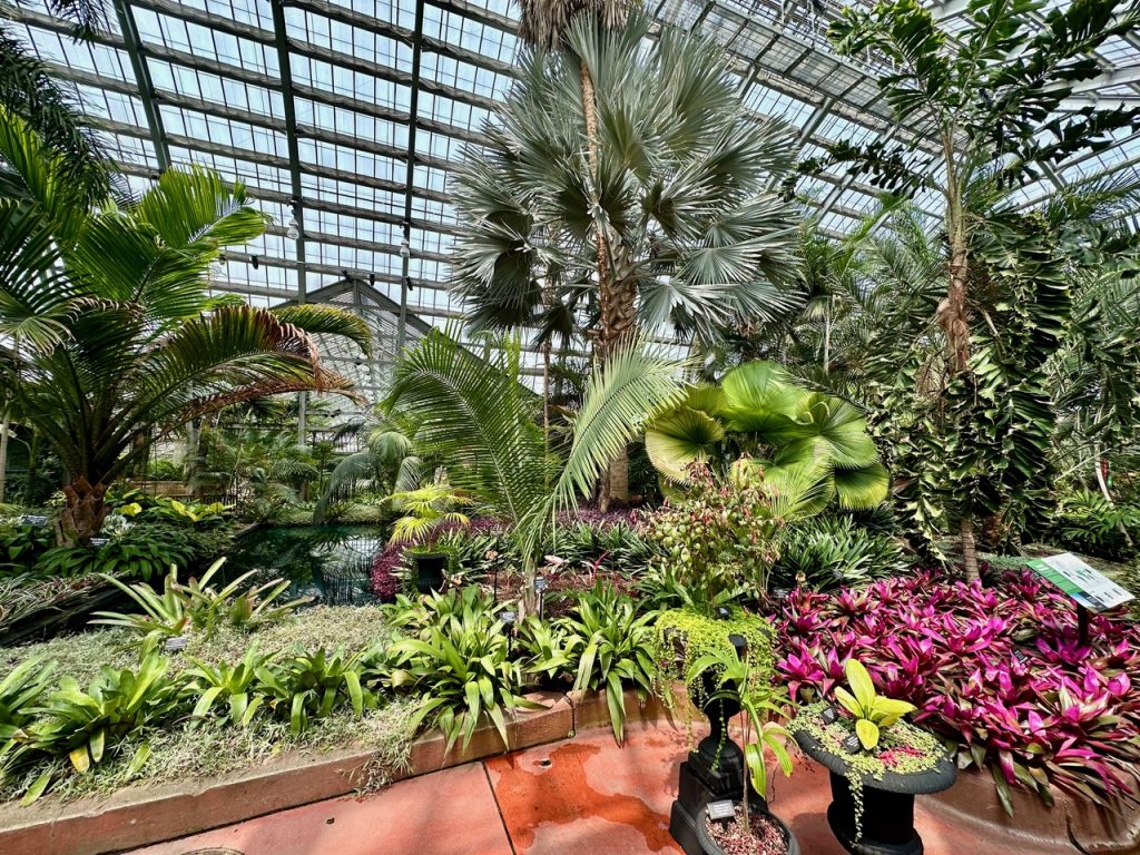 Garfield Conservatory