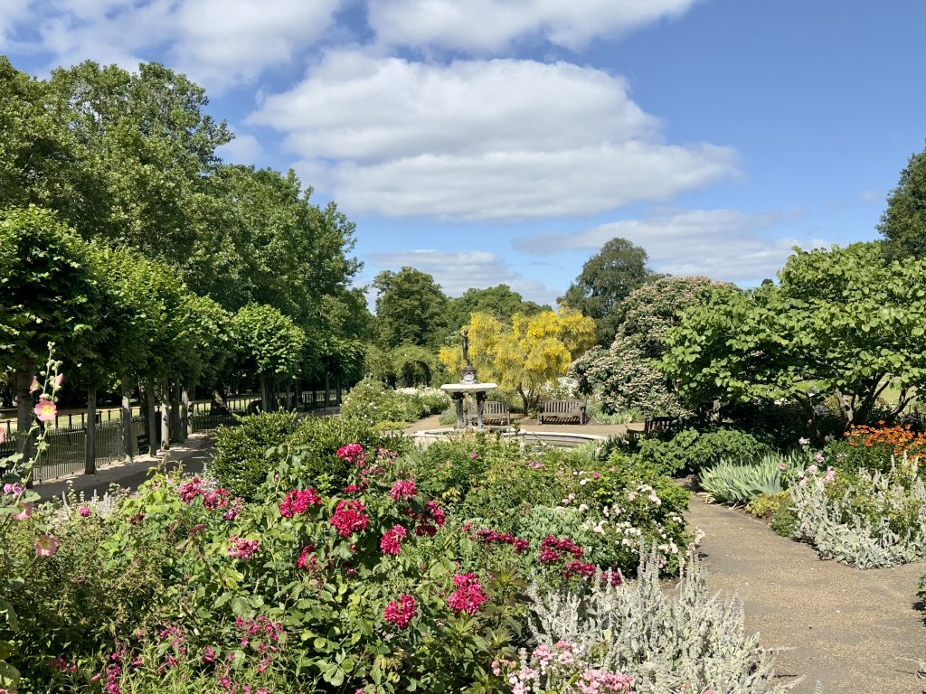 Rose Garden